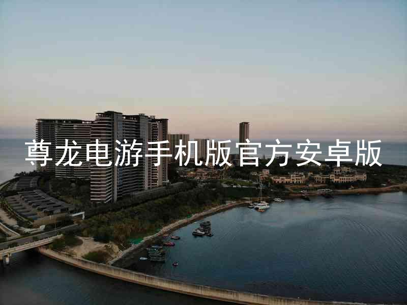 尊龙电游手机版官方安卓版